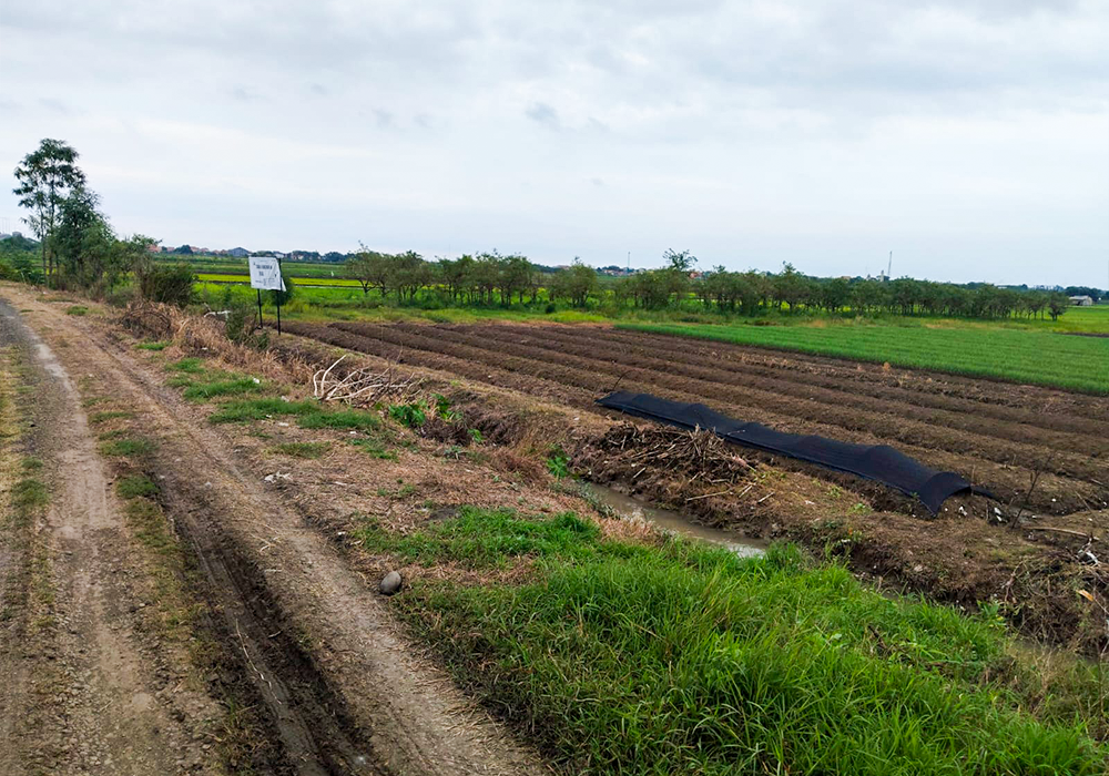 TANAH DI KAB. BREBES - NPL635-2 - foto 2